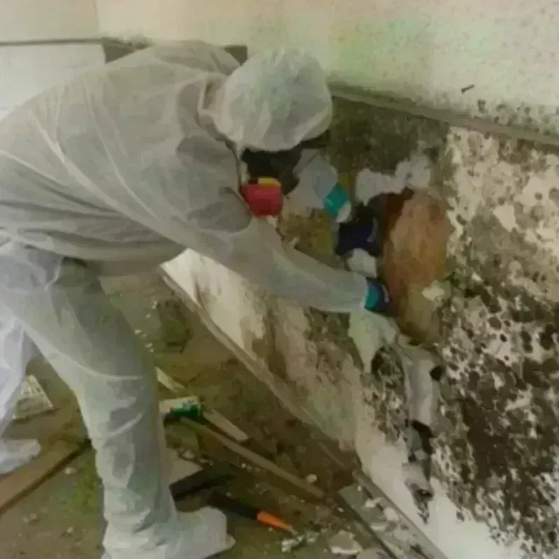 Best Mold Remediation and Removal Service in Golden Valley, NV